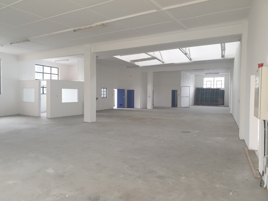 To Let commercial Property for Rent in Observatory Western Cape